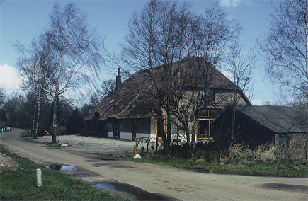Bijsterbosch
