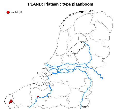 plaanboom